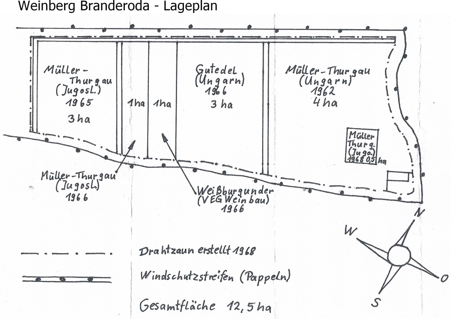 historischer Lageplan vom Weinberg Branderoda in den 1960er Jahren